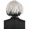 HalloweenCostumes.com One Size Fits Most  Women  PJ Masks Luna Adult Wig, Black/Gray - 4 of 4