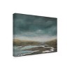 Trademark Fine Art - Michael Willett  Basin Squall II Canvas Art - image 4 of 4