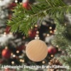 25Pcs Flocked Christmas Ball Ornaments Set - Vintage Velvet Texture, Multi-Functional Holiday Decor - 2 of 4