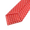 INSPIRE CHIC Pre-tied Elastic Neck Ties - 4 of 4