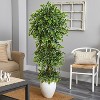 HomeStock  5.5 ft. Artificial Ficus Tree in Planter for Indoor/Outdoor - 2 of 3