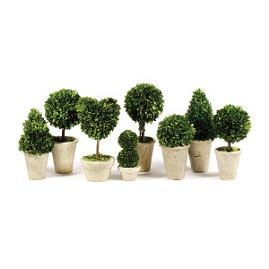 Plum & Post Boxwood Topiaries Faux (Fake) Set of 8 - 1 of 4