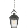 Quoizel Lighting Carriage 1 - Light Pendant in  Mottled Black - 4 of 4