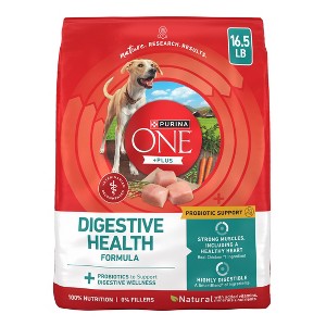 Purina ONE SmartBlend Natural Digestive & Probiotic Health Rice