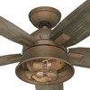 Hunter Fans Hampshire 2 - Light in  Weathered Copper - 4 of 4