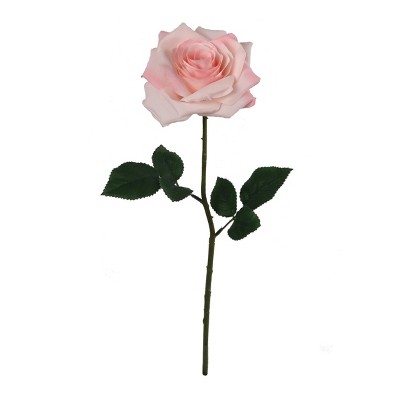 Floral Home 20" Stem Long Light Pink Open Rose - 12-Piece