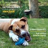 Itopfox Squeaky Dog Toy for Aggressive Chewers: Durable Rubber Puppy Chew Ball with Squeaker, Almost Indestructible Pet Toy for Medium & Large Breeds - 4 of 4