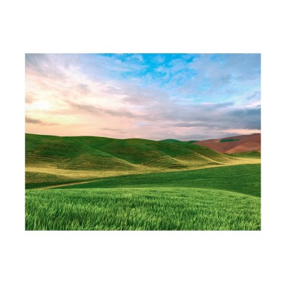 18" x 32" James McLoughlin 'Farmscape V' Unframed Wall Canvas - Trademark Fine Art