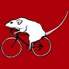 Junior's Design By Humans Cycling Rat By TeaandInk T-Shirt - 2 of 3