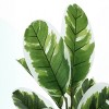 Syemin Artificial Plants Artificial 27" Tall Rubber Home Decor Fake Plant Faux Plants Indoor Outdoor Fall Decoration, Green, 21"*20"*26.5" - 3 of 4