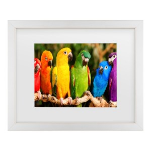 Trademark Fine Art - Mike Jones Photo Rainbow Parrots Matted Framed Art - 1 of 4