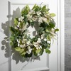 Sullivans Artificial Mixed Silver Dollar Wreath 27"H; Cream - 3 of 3