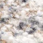 tan, off white, cream, brown