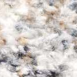 tan, off white, cream, brown