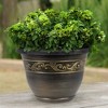 Garden Elements Indoor/Outdoor Plastic Tulip Banded Round Flower Pot Planter - 2 of 3