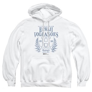 Men's Hawaii Volcanoes National Park Fern Wreath Pull-Over Hoodie - 1 of 4