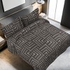 PiccoCasa Geometric Modern Pattern Soft Lightweight Comforter Sets 3 Pcs - 3 of 4