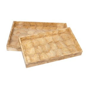 Gallerie II Marquesa Pearlized Tray  Set of 2 - 1 of 2