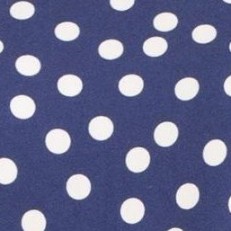 navy dot
