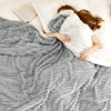 FIONECA Cozy Winter Soft Warm Blanket for Bed - 2 of 4