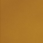 georgia bulldogs uga