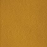 georgia bulldogs uga