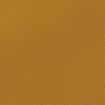 georgia bulldogs uga