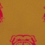 georgia bulldogs uga