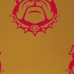 georgia bulldogs uga