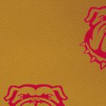 georgia bulldogs uga