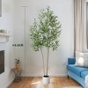 Tree City 5.9Ft Tall Faux Olive Tree with 3 Trunks & 1000 Lifelike Leaves - Potted Artificial Plant with Black Sand for Home Decor - 2 of 4