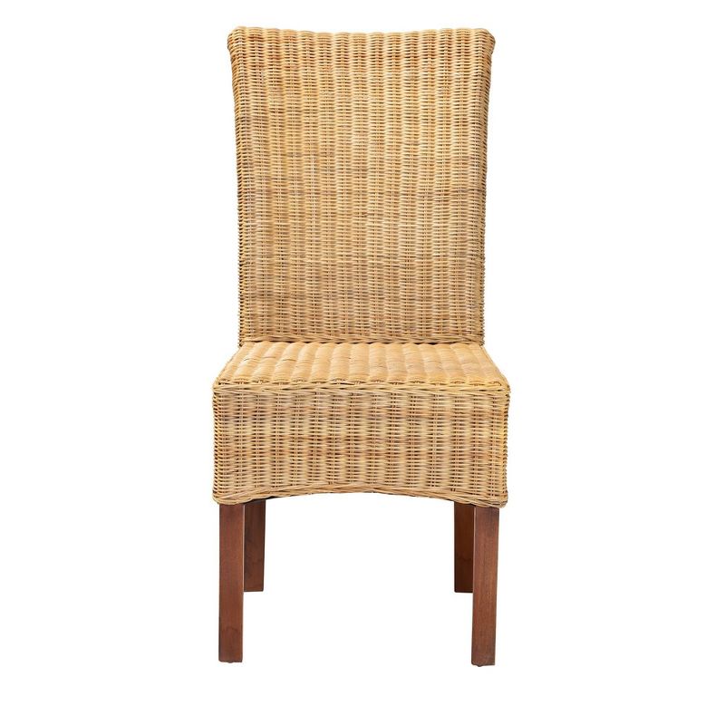 Shamara Natural Rattan and Mahogany Wood Dining Chair Walnut Brown - bali & pari: Ergonomic, Bohemian Style, No Assembly Required, 1 of 11