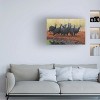 Delene Lambert 'Guinea Fowl Jive Talking' Canvas Art - 3 of 4
