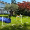 PawHut Dog Agility Training Equipment 9.8' Dog Agility Tunnel & Canine Whistle, Dog Obstacle Course for Backyard, Agility Jumps, Weave Poles, 8-Piece - 2 of 4