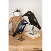 Antique Black Iron Crows 14"H – Rustic Handcrafted Fall Figures, Set of Two by Kalalou - 2 of 3