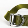 Anna-Kaci Women's Nylon Waist Belt with Statement D - Ring Buckle - 4 of 4