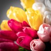 Sullivans 14" Artificial Spring Tulip Bush Set of 4 - 2 of 2