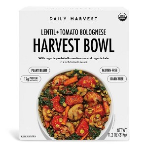 Daily Harvest Frozen Lentil and Tomato Bolognese Harvest Bowl - 11.2oz - 1 of 4