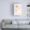 Canvas Wall Art - Pictufy Studio  'Stars Yellow' Wall Art for Living Room, Bedroom, or Office Décor by Trademark Fine Art - 3 of 4