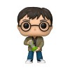 Funko POP! Harry Potter: Harry with Hourglass S18 Figure - 2 of 2