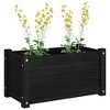 vidaXL Garden Planters 2 pcs Black 23.6"x12.2"x12.2" Solid Wood Pine - 4 of 4