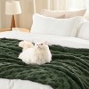 Bedsure | Cute Soft Cozy Checkered Throw Blanket for Couch - 3 of 4