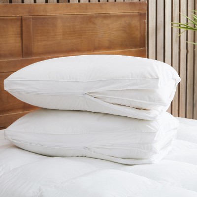 Hypoallergenic pillows clearance target