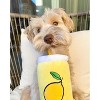 ZippyPaws Crinkle Plush Cute Dog Toys, Popsicle, Watermelon, Lemonade (Summertime Combo) - 3 of 4