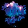 Men's Avatar Panopyras Scene T-Shirt - 2 of 4