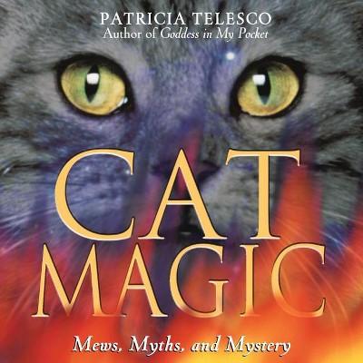 Cat Magic - by  Patricia Telesco (Paperback)