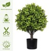 Gulches 2pcs 22in Artificial Boxwood Topiary Ball Trees - Potted Faux Plants, Indoor/Outdoor Decor for Home Garden Entryway Desktop - 4 of 4