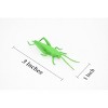 Collectible Wildlife Gifts | Grasshopper, Plastic Toy Animal,  Gift, Realistic Figure, Educational Model,  Gift,    3 inches long     F1661 B74 - 3 of 4
