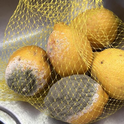 Lemons (bag) — Fairless Hills Produce Center