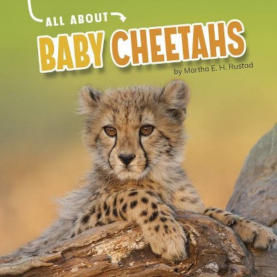 All about Baby Cheetahs - (Oh Baby!) by  Martha E H Rustad (Hardcover)